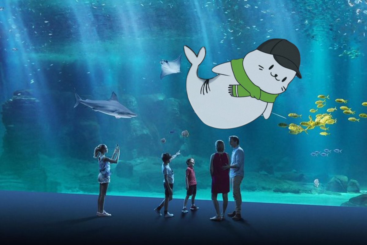 Coming to an aquarium near you!