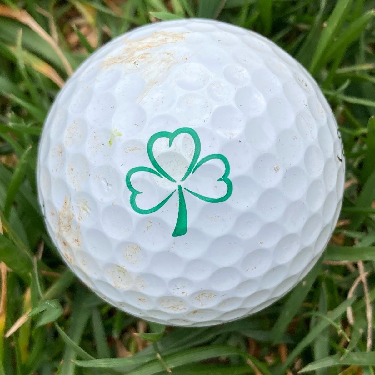 CollieCrusader's tweet photo. 🏌️‍♂️ Looking through my bucket 🪣 of golf ⛳️ balls to find my lucky 🍀 ball so I can make the cut at #TheMasters. 
✅ Found it! 

#golf #golfballs #fore #bucketofgolfballs 🪣⛳️
#intherough #intheruff #roughcollie #collie https://t.co/sxDc0YRhUY