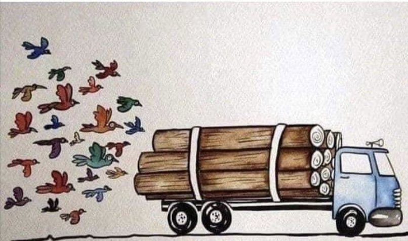 kritishrivastvg's tweet photo. किसी की आरज़ुओं को घर मिला,
किसी की हसरतें बेघर हुयी।🐦🐥🦉🦃🐧🐓🦆🕊🐤🐣🦅🐔🦚🦜
#Save_Trees🌳 #Save_Birds #Save_Forests #Save_Life #Save_Earth 🌍 https://t.co/xscDVDitQ9