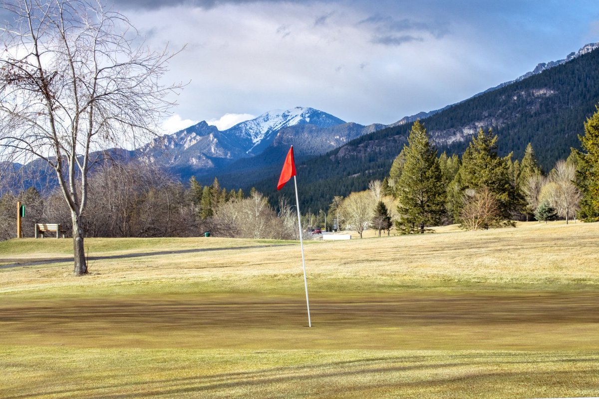 FHSresort's tweet photo. Creekside Golf Course on Friday evening as the sun dipped towards the Purcells. The grass is getting greener by the day as winter fades. Mountainside is set to open April 16.
#FairmontHotSpringsResort #FHSRmemories #FHSRgolf #CVGolfTrail #KooteanyRockies #CanadianRockies https://t.co/tqWzylXS8B