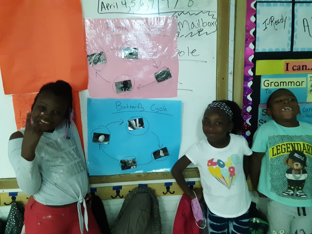 PointNavy's tweet photo. Students had to work as a team to sort and complete pictures for the butterfly and frog life cycles.

#ECSDFL https://t.co/LiKxXcbjlo