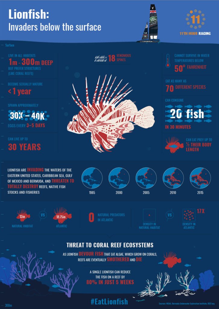 thejamhole's tweet photo. Hey y'all, it's lionfish culling season, if any of you feel so inclined you can toss a few $UST's into the OWA Liquid fund. OWA non profit a few of my friends and I started last year. We cull lionfish to protect reefs.
https://t.co/VBnC3m0bqI
cc @angelprotocol @kevinrussellUST https://t.co/GtfV5s5USj