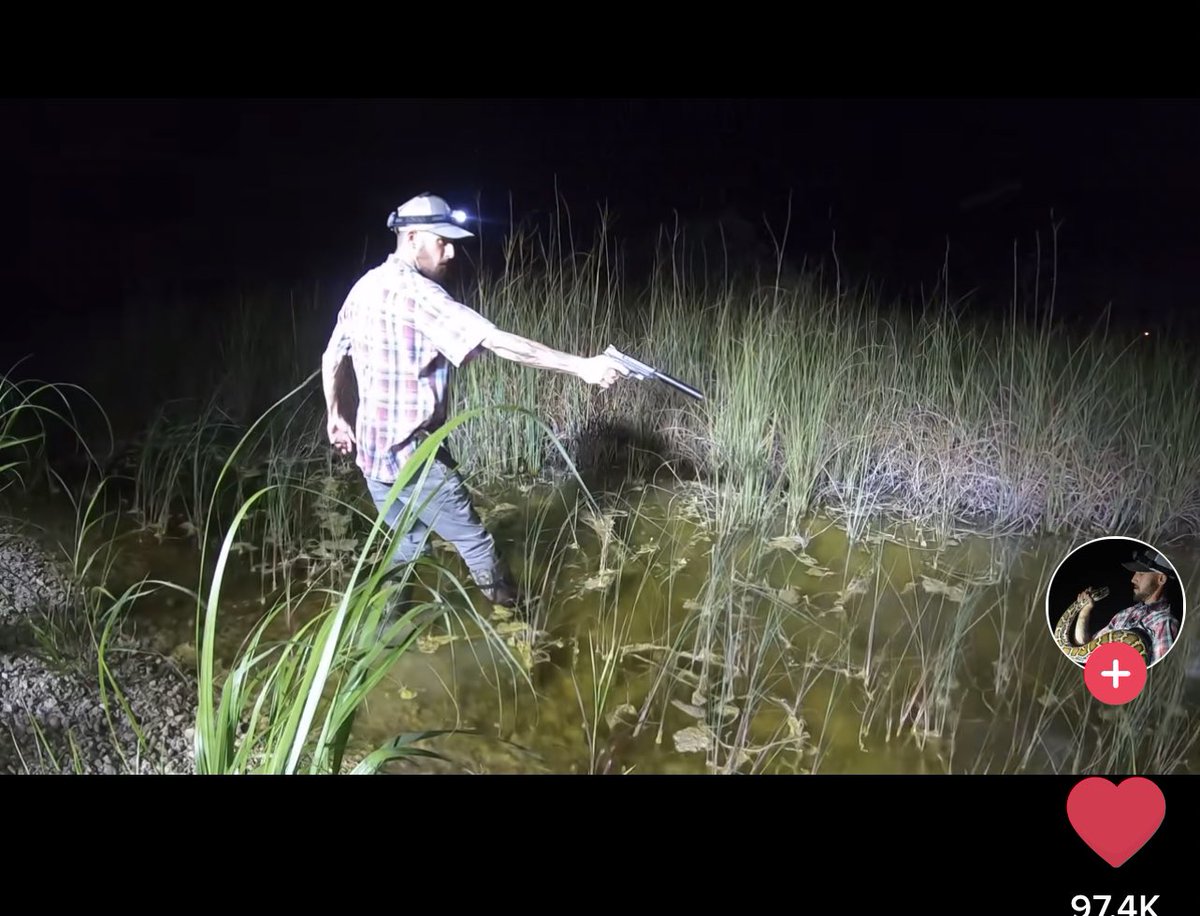 Casey Neistat tweet media