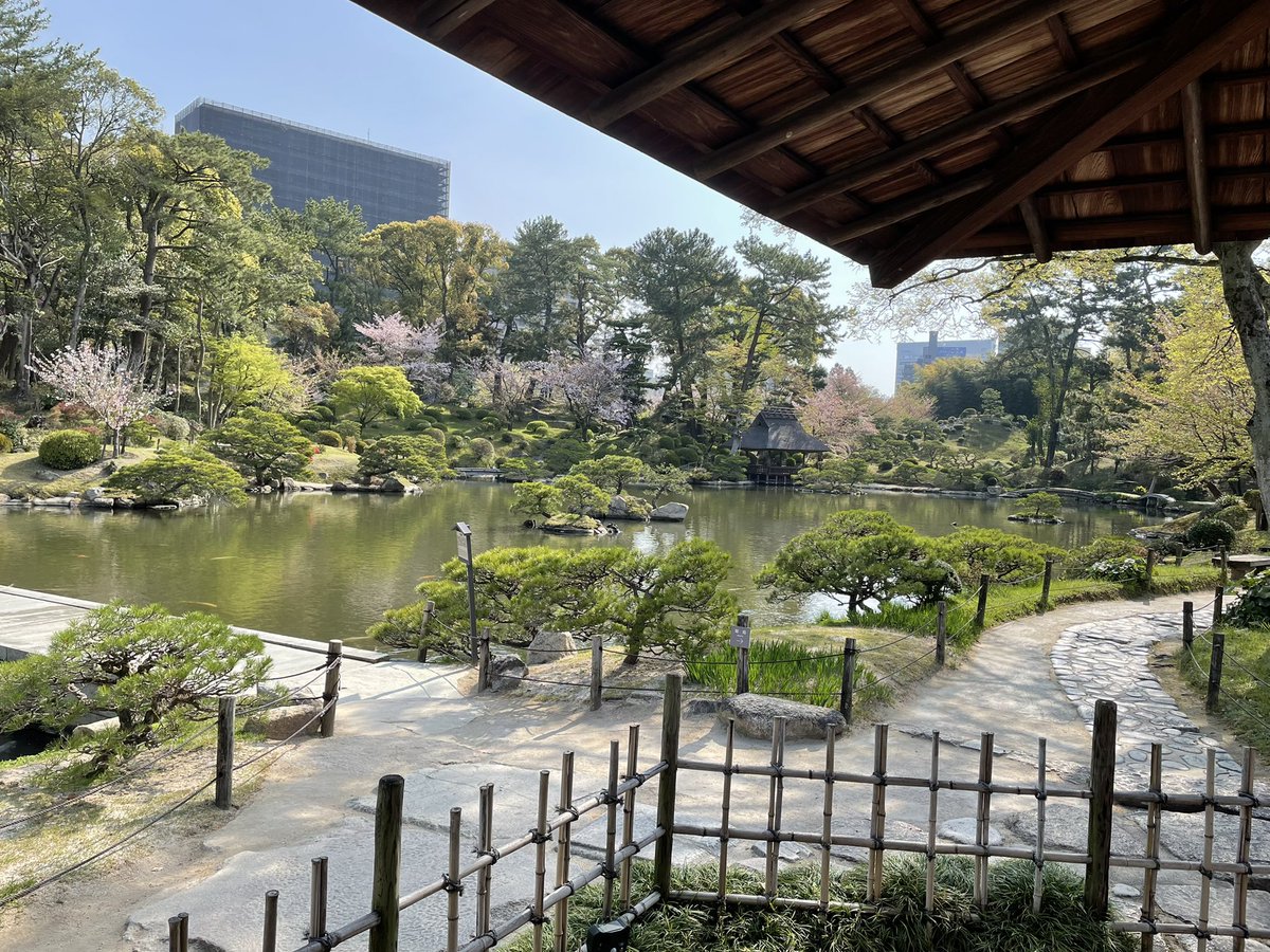 sabi2n2n's tweet photo. 早おきにゃう https://t.co/yvXkaPPFxc