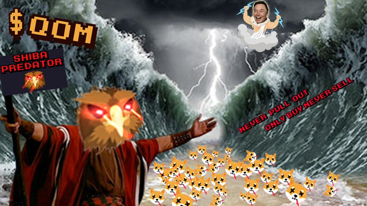 QOM - Shiba Predator tweet media