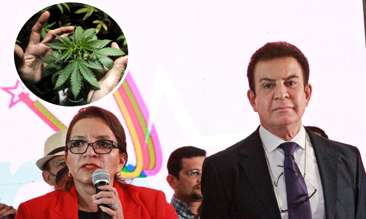 gabrielortizzhn's tweet photo. El designado presidencial, Salvador Nasralla, propuso legalizar y sembrar marihuana (cannabis) “pero con fines medicinales”, para generar miles de empleos para hondureños que lo necesitan. https://t.co/QLLg3385m2