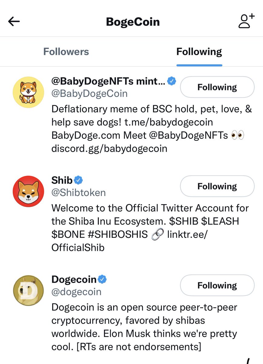 BogeCoin tweet media