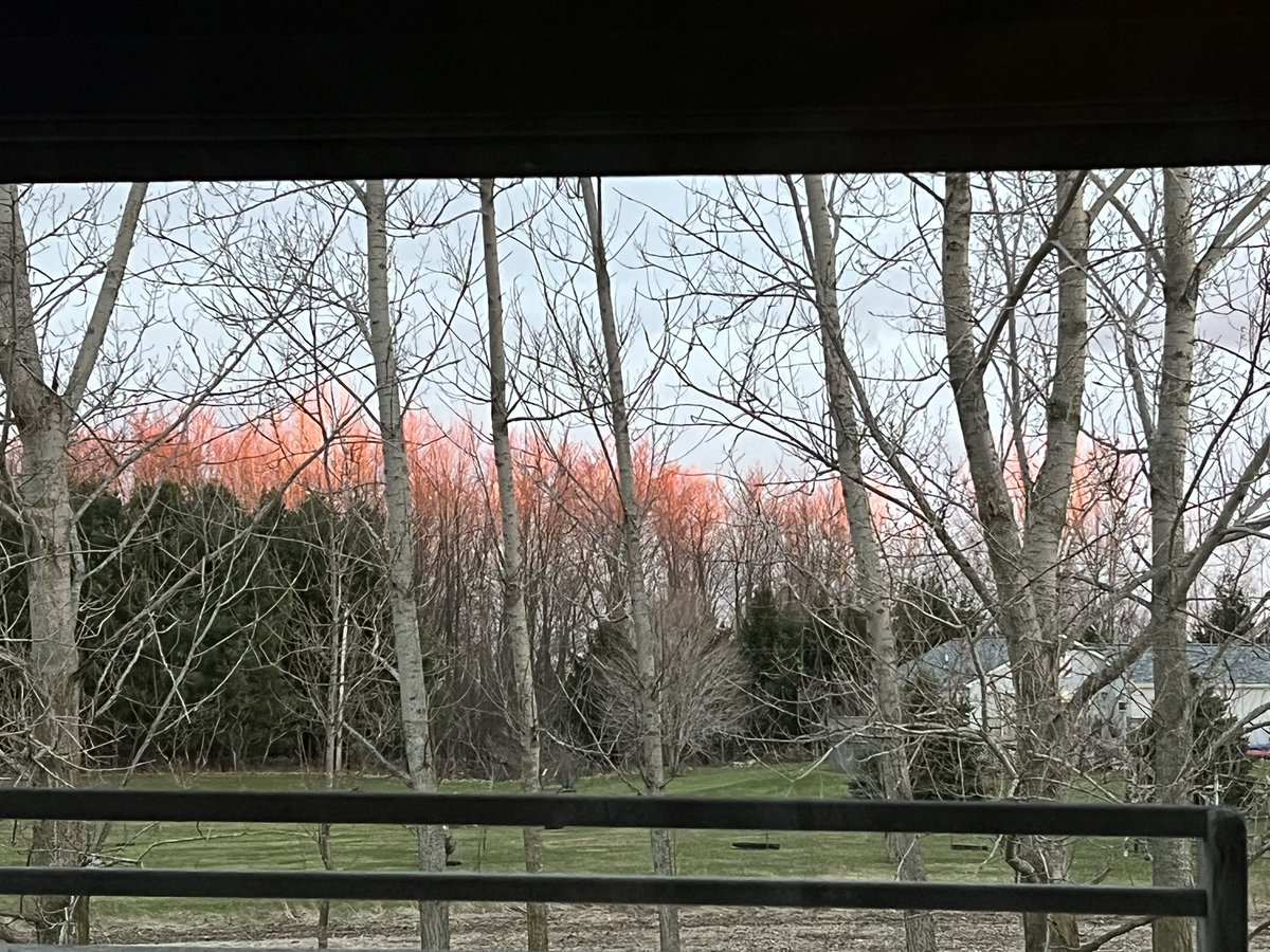 JAM_66's tweet photo. Just happened to catch this beautiful sight outside our window tonight. Have never seen this happen before. Does anyone know what caused this?  Didn’t last long but so happy we had a late dinner and caught it! #PureMichigan #Sunset #FireTrees https://t.co/NjQ0seUev8