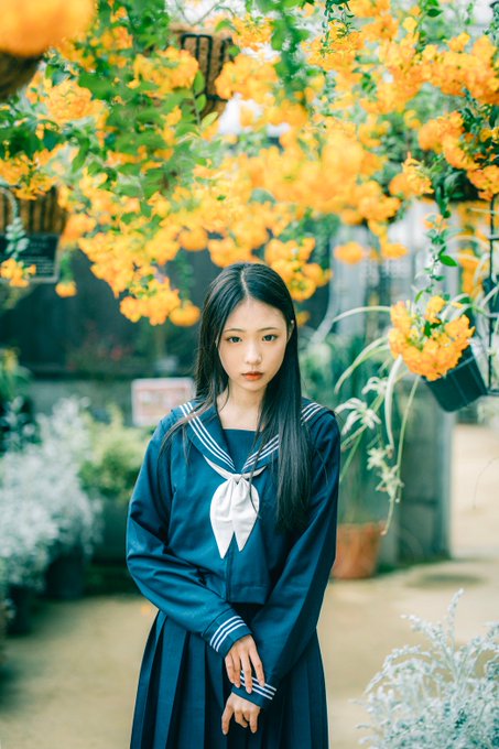 noaのTwitter画像13