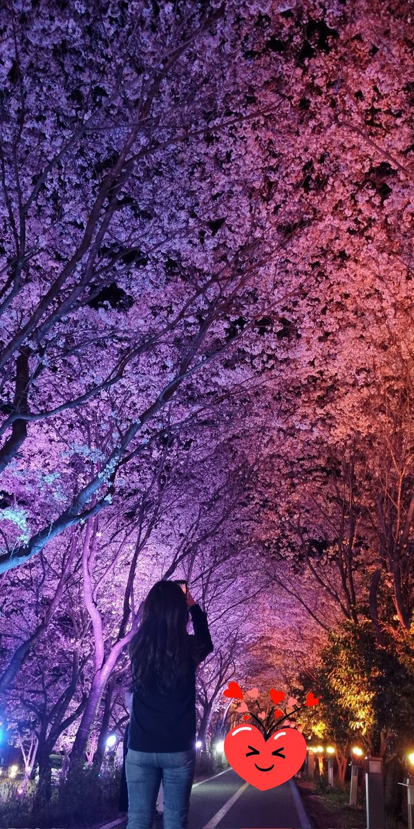 #봄 #너만봄 #빵댕이만봄
#커플 #부부  #부커여행