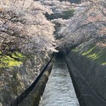 ツイートに含まれる画像
