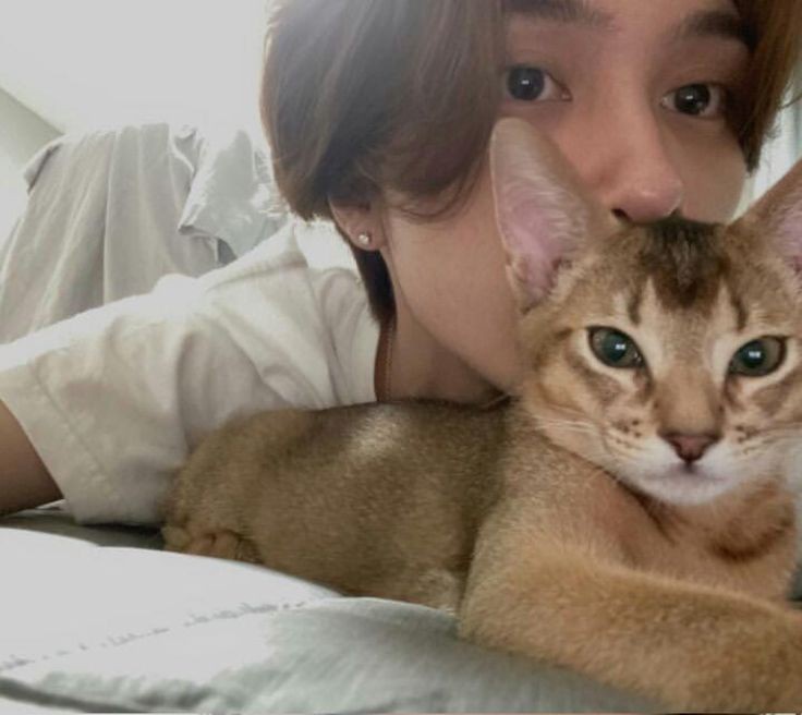 henderyyb0t's tweet photo. ¡hola hola!

• ੈ soy hendery b0t, e hice esta cuenta para poder llenarte de amor y ayudarte en lo que necesites

 cuando quieras podes mandarme dm o @, voy a tratar de estar lo más que pueda!!

si pueden den rt y fav para que más personitas reciban amor♡ https://t.co/VqVMb9RhM4