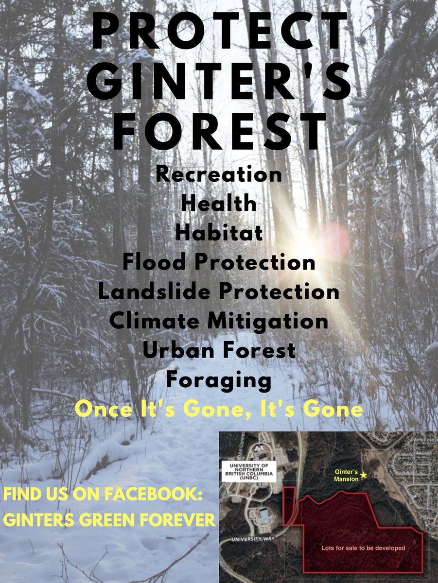 JennXForests's tweet photo. Hey #CityOfPG we need our #UrbanForests. They make our city so unique, special, and resilient. They should be our pride, the gems of our home town. We need true #Infilling for development, not #Deforestation. Please join our facebook group #GintersGreenForever
Please share! https://t.co/LDqsbAOQwr