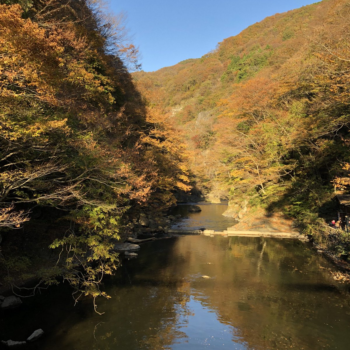 KnitSnow's tweet photo. 小原温泉の岩風呂へ向かう川沿いの道は、紅葉も綺麗です。 

この温泉は川に住む生き物への配慮から、せっけん、シャンプーなどの使用ができない
環境にやさしい温泉です。
＃SDGs温泉　＃SDGs ＃環境配慮　＃岩風呂　＃宮城県　＃白石市　＃小原温泉　＃かつらの湯
https://t.co/AXqKWk8LN7