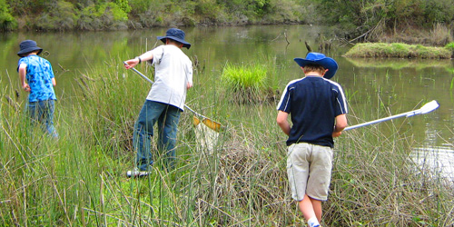 RileyMUON's tweet photo. Central Coast Waterwatch is an amazing local program. Involving school and community groups which monitor water quality and also clean up some of the Coast's waterways. Students encouraged to get involved with programs like this. #UoNTeach #educ4750 
https://t.co/fFLTjD4wqo https://t.co/TENG90WGCn