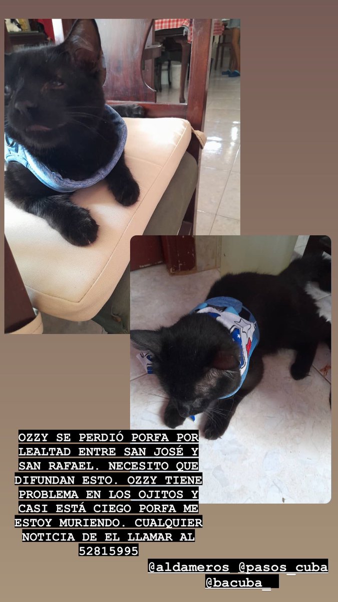 ClauSoto #J11 tweet media