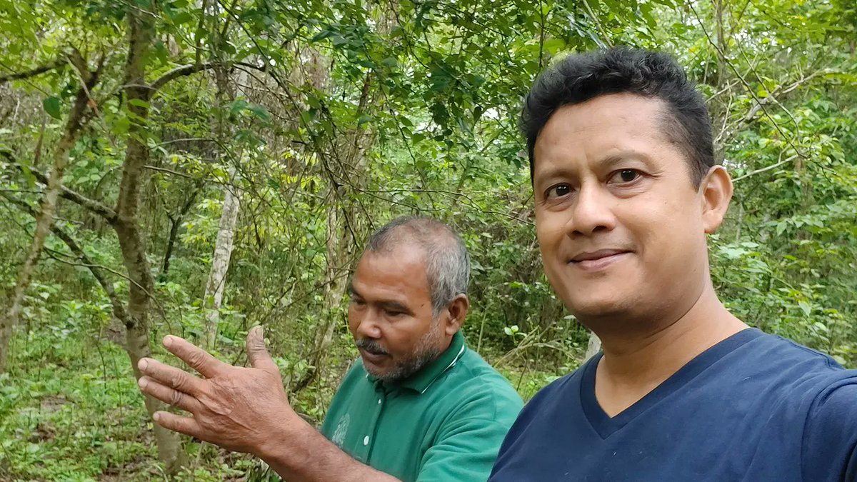 riturajphukan's tweet image. Blessed day of grassroots impact multiplication. #millionmoretrees #biodiversity #forestmanofindia #brahmaputra #molaikathoni  #indigenousclimateaction  #LeadOnClimate #GrassrootsClimate