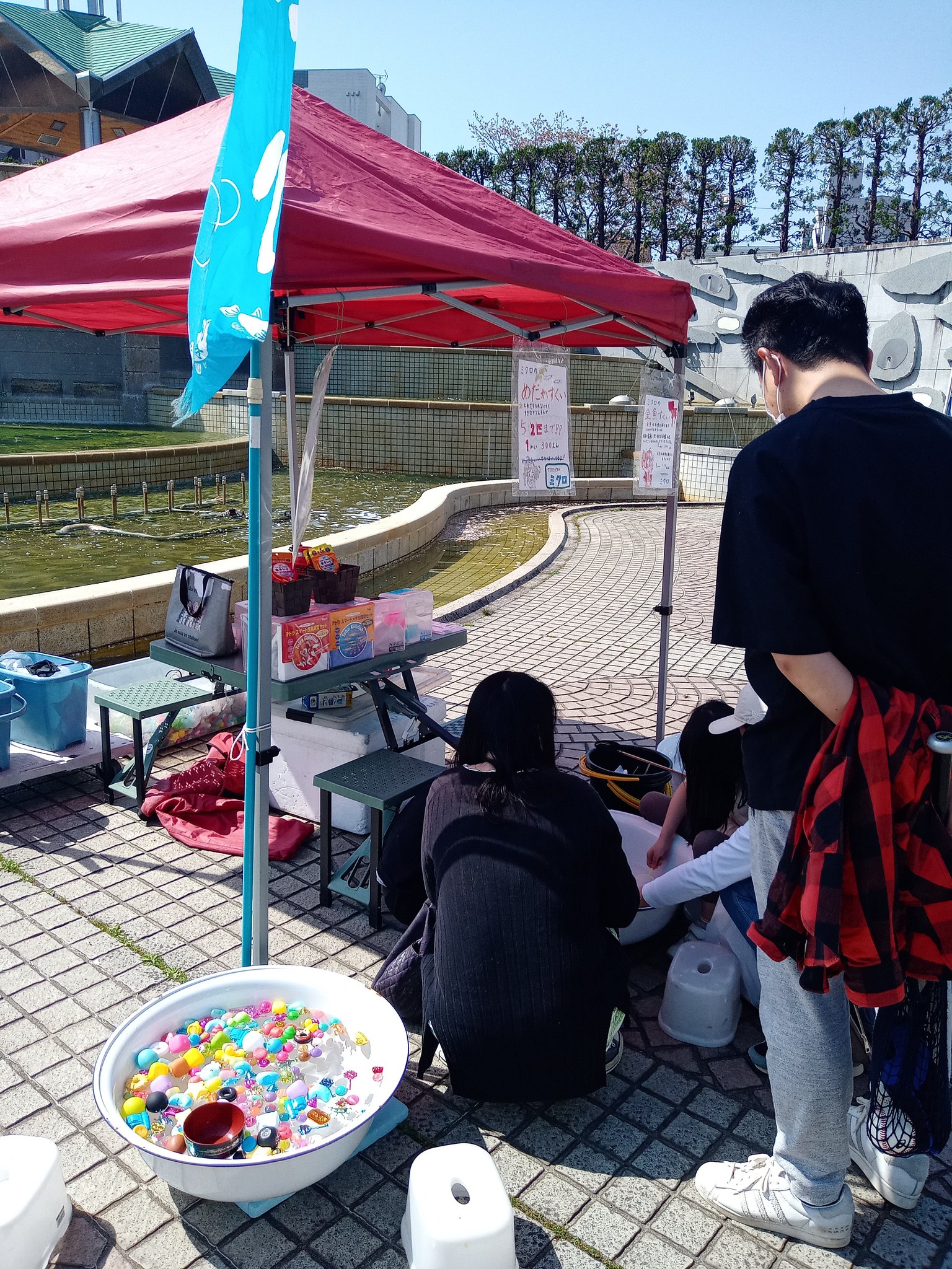 アクアリウム ミクロ Micro Twitter