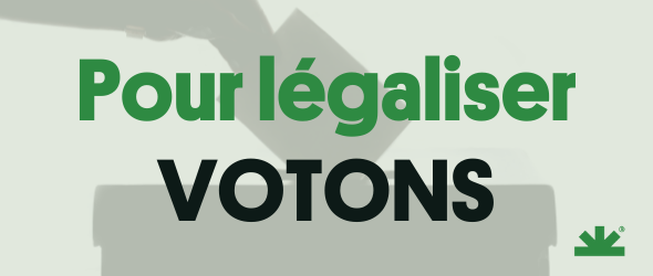 NORMLfr's tweet photo. 🇫🇷 #Légalisation du #Cannabis
Ce dimanche 10 avril : ALLONS VOTER !
En tant qu’asso trans-partisane, nous ne donnerons pas de consigne de #vote.
Cependant, nous ne pouvons que vous recommander de choisir un candidat ayant répondu au #ScoreNORML :
🗳️https://t.co/1xiXiHC6vf https://t.co/mQ8DdtrlZK