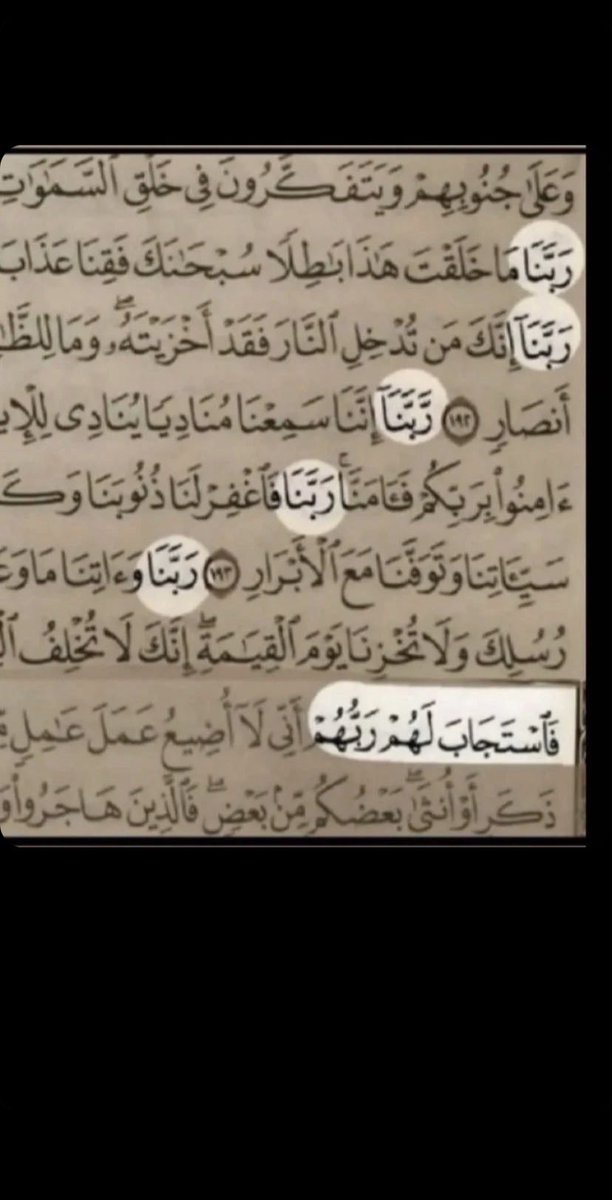 معاذ (@bvrd) on Twitter photo 