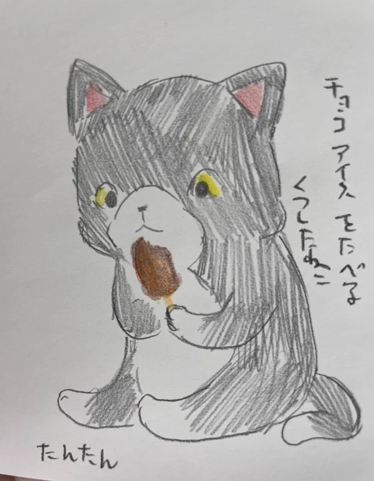 チョコアイスを食べるくつしたねこ

#イラスト #猫 