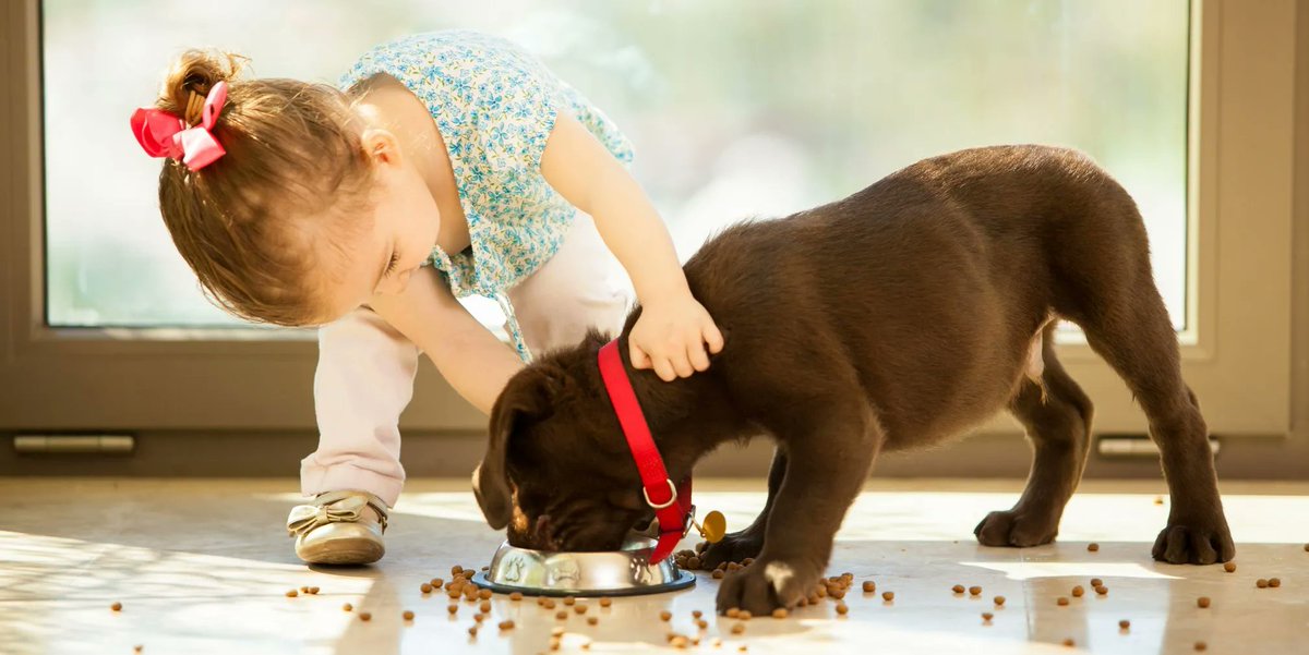WonderKidsNFT's tweet photo. Do you know that there are many benefits to get a pet for your kids? 
Join up our discord to discuss more bout it. https://t.co/RD7dlN9nsx

@CharityTimes @GlobalGiving @CPCharity @BinanceBCF @garyvee
#helpkids #charity #nftcommunity #kids #children #fundraise https://t.co/FInrmAAley