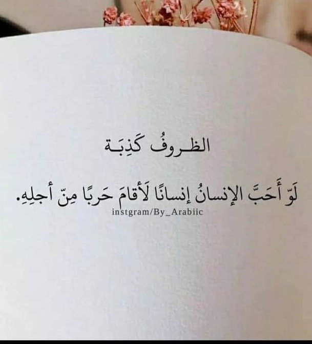 سدیس (@sdys91416972) on Twitter photo 