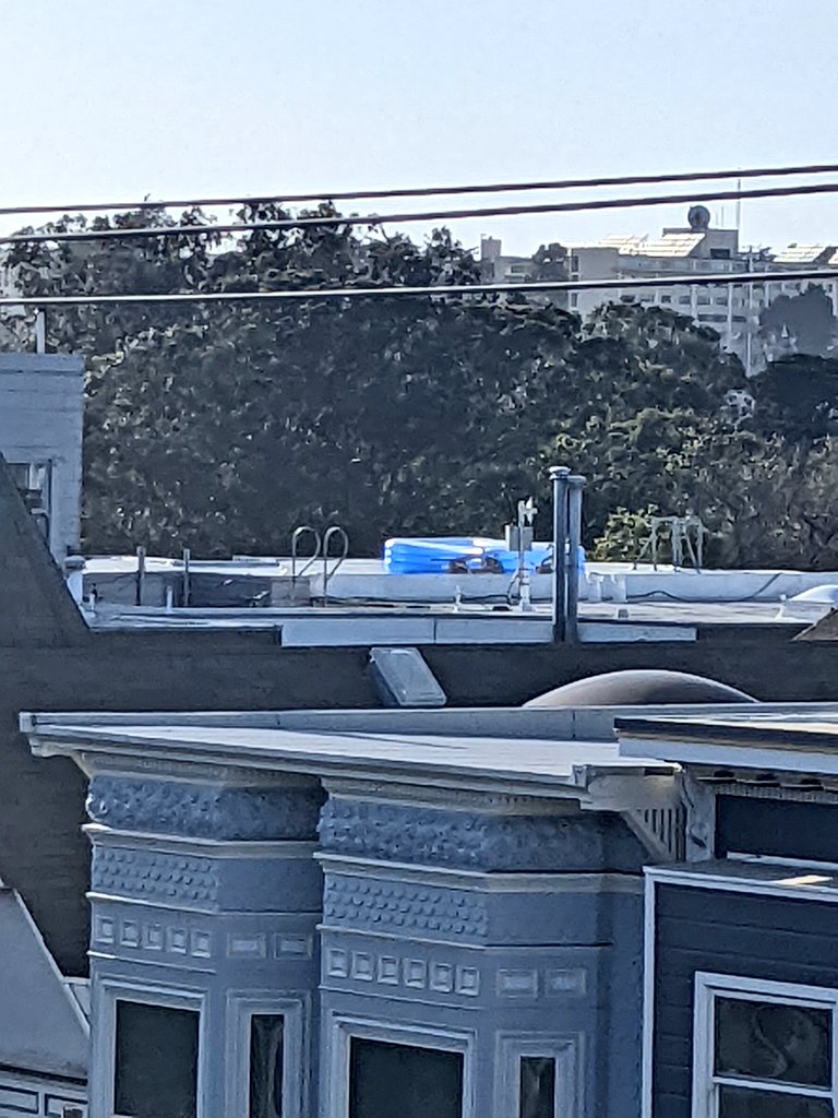Someone has an inflatable pool on the roof of their house here in San Francisco.