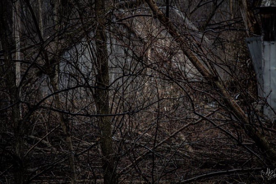 ob_smith's tweet image. #artistsontwitter #PhotoOfTheDay #PHOTOS #photography #PhotoOfTheDay #SaturdayMorning