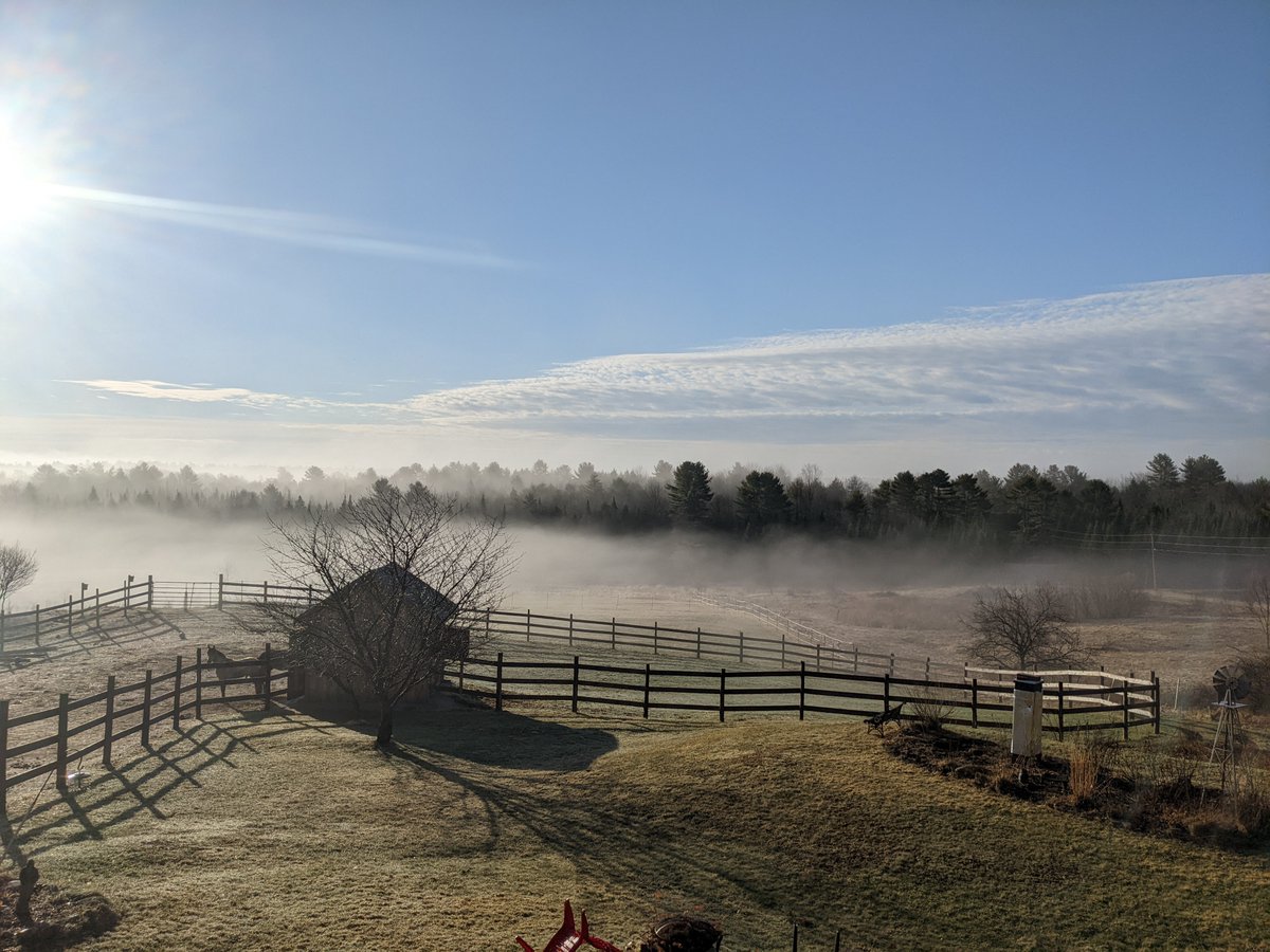 Jesse Bishop tweet media