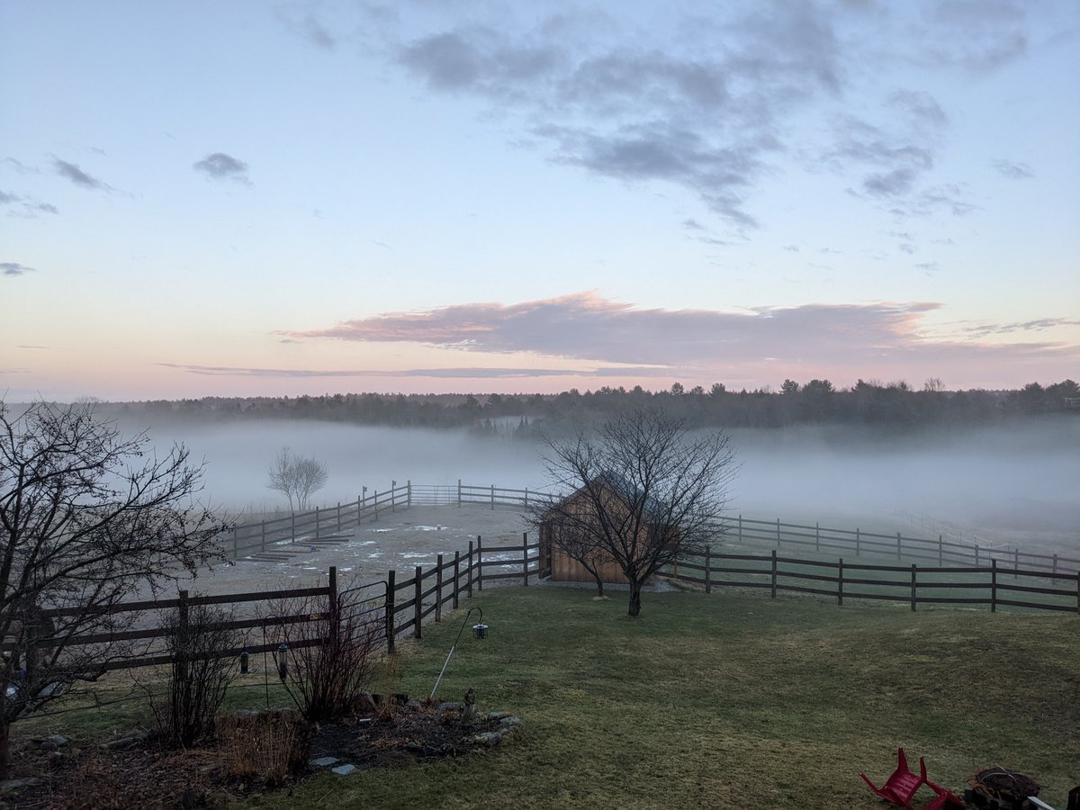 Jesse Bishop tweet media