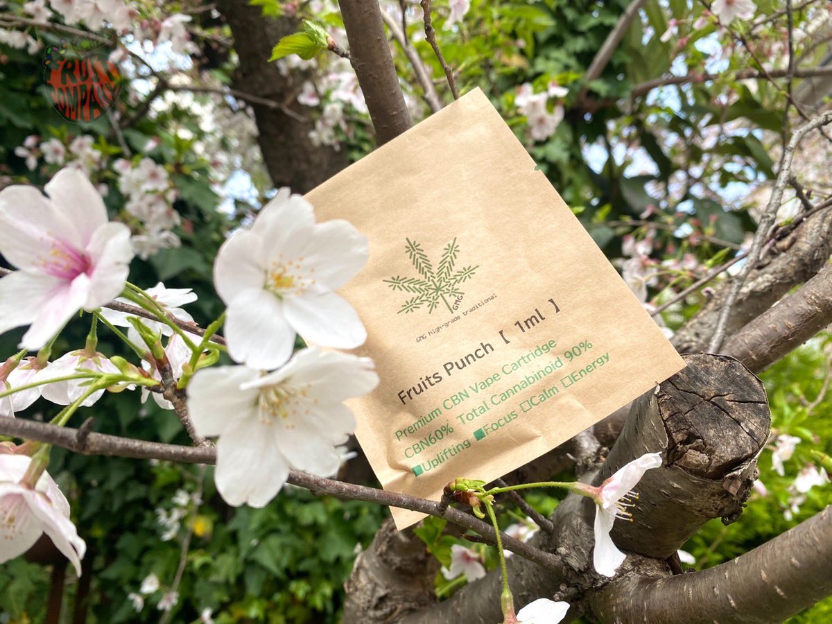 FRUIT_COMPANY_'s tweet photo. 今日も楽しんでいきましょう🍎
#CBN #CBD #NOTHC #fruitspunch https://t.co/Ojj7x6tv4A