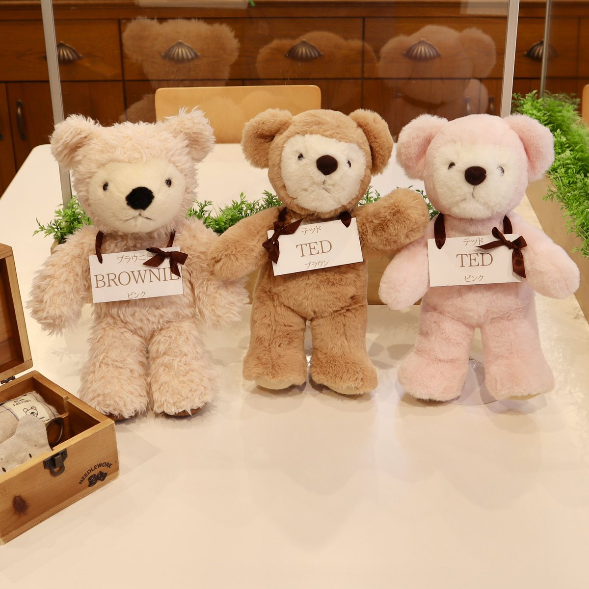 テディベアミュージアム 伊豆 テディベア ブラウニー サンアロー