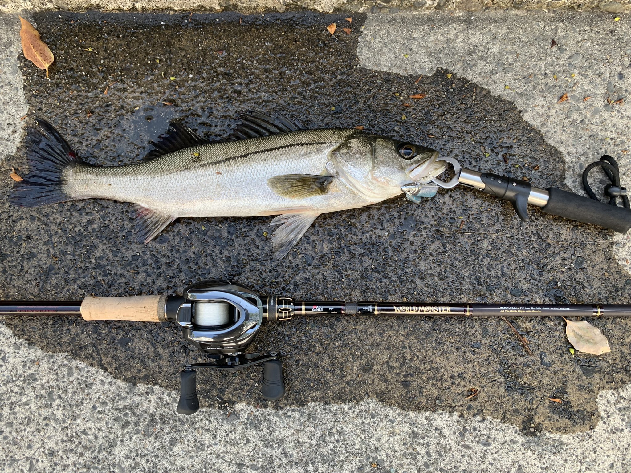 釣りにーと 全然釣れないからシーバス絶滅したのかと思った シーバス釣り ダイソーvj ダイソー釣り具 アンタレスdcmd T Co Vlgqocctub Twitter