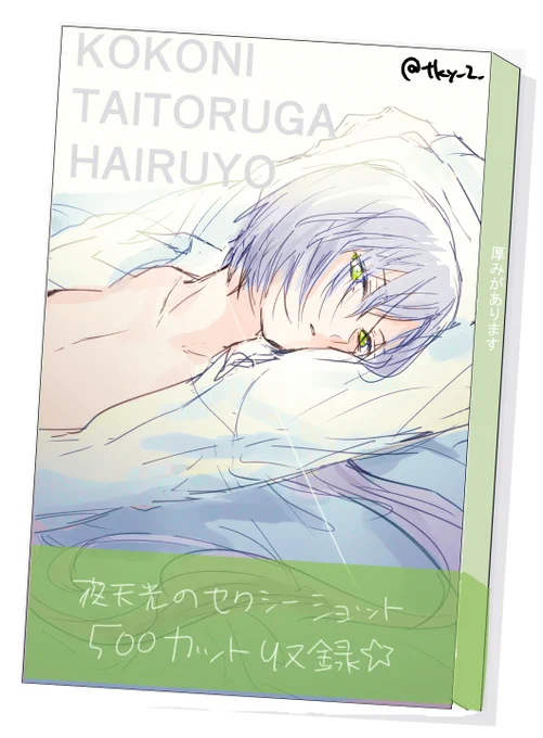 (色々適当ですが)自分が欲しいものを描いた(虚無) 