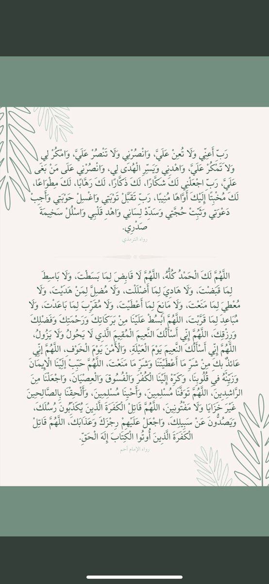 #نور_الشيخ جوامع الدعاء 🤍