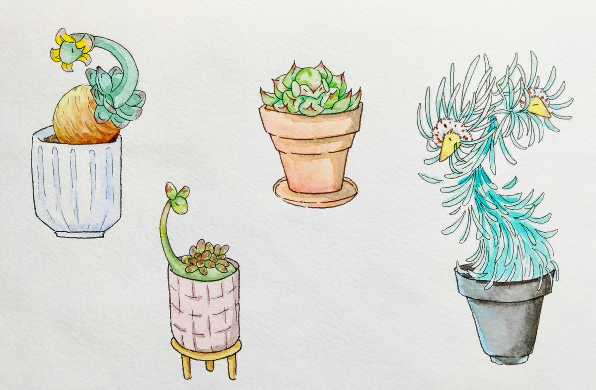 More old sketches! Sushi cats &amp; succulent buddies!