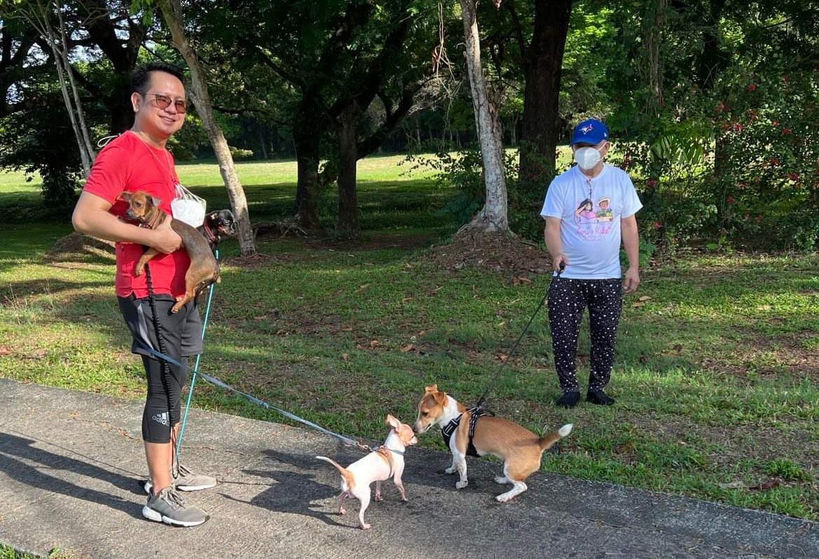 BothanPhl's tweet photo. Behaving like humans is not as hard as one thinks. why? Because WE ARE HUMANS!
Meeting lolo w/ his political affiliation expressed differently from mine doesn't make either of us better.
If animals can be friendly why can't we HUMANS be?
#UniteToRise
#BBMSaraUNITEAM
🇵🇭❤️💚 https://t.co/gCRPOtj1qW