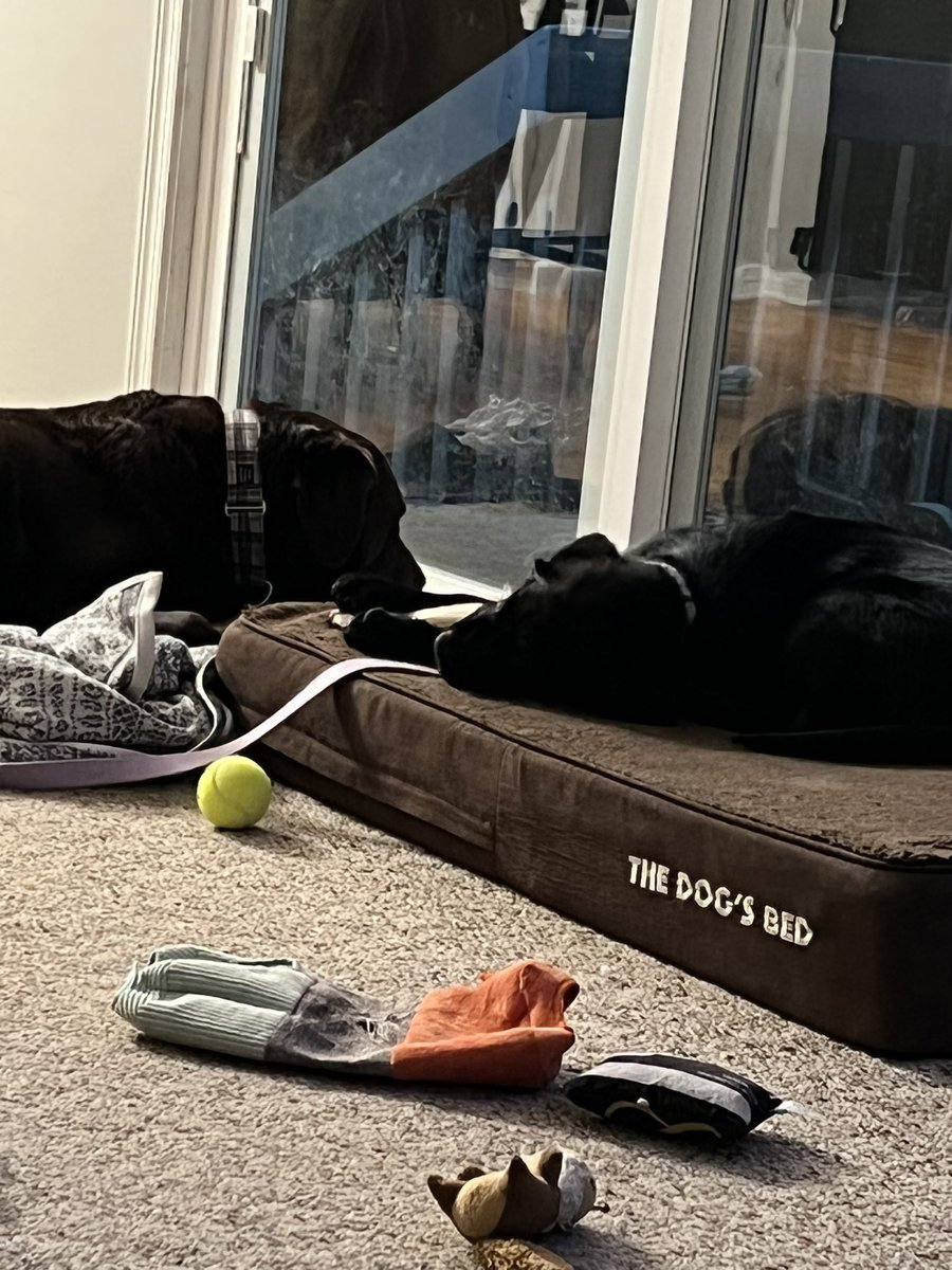 WashedUpGreg's tweet photo. At this point I’m just here to protect Pua as Tonks steals his elk sheds https://t.co/SLHWwUNQaN