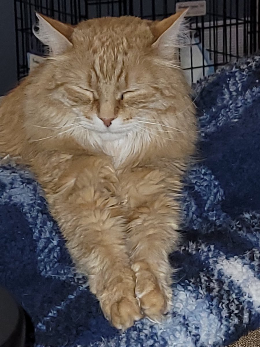 DexterCat4's tweet photo. Ahhh, me and mom, best ever.... https://t.co/otsHH1ce1E