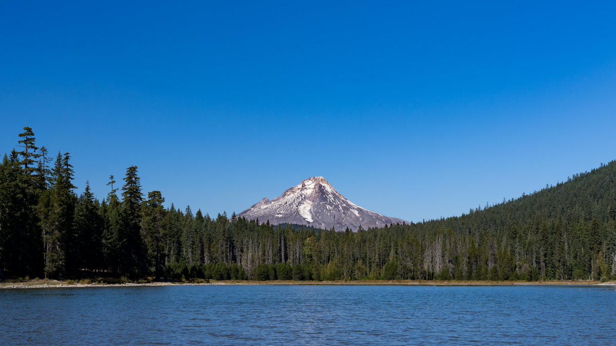 danielhuckmann's tweet photo. Mt. Hood as seen from Frog Lake in Oregon.

September 2021

ƒ/9 1/100 35mm ISO100 https://t.co/33Y9vykUOR