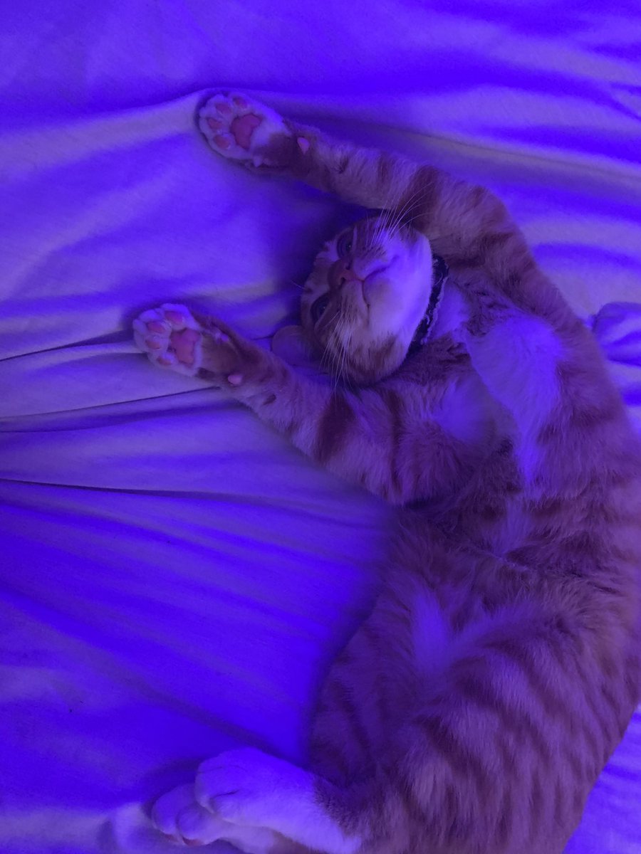 adrianprinceee's tweet photo. I need some of what my boy binx takes @mads_bradford https://t.co/Xd2uaPANFR