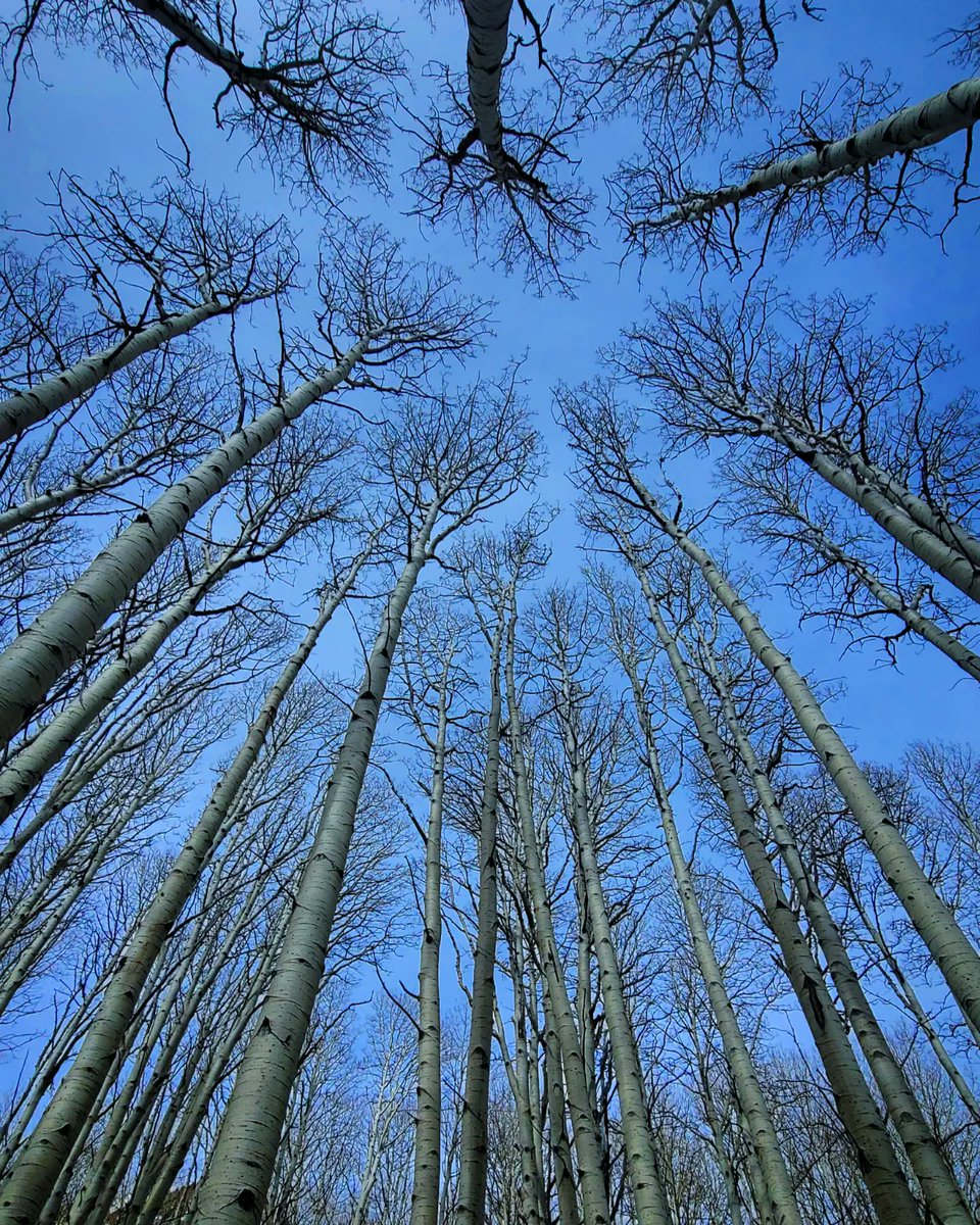 The Average Joe Runner tweet media