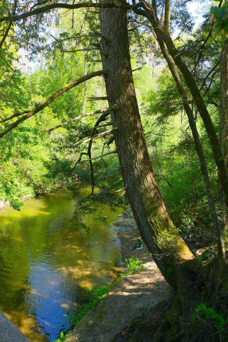 Joyographic tweet media