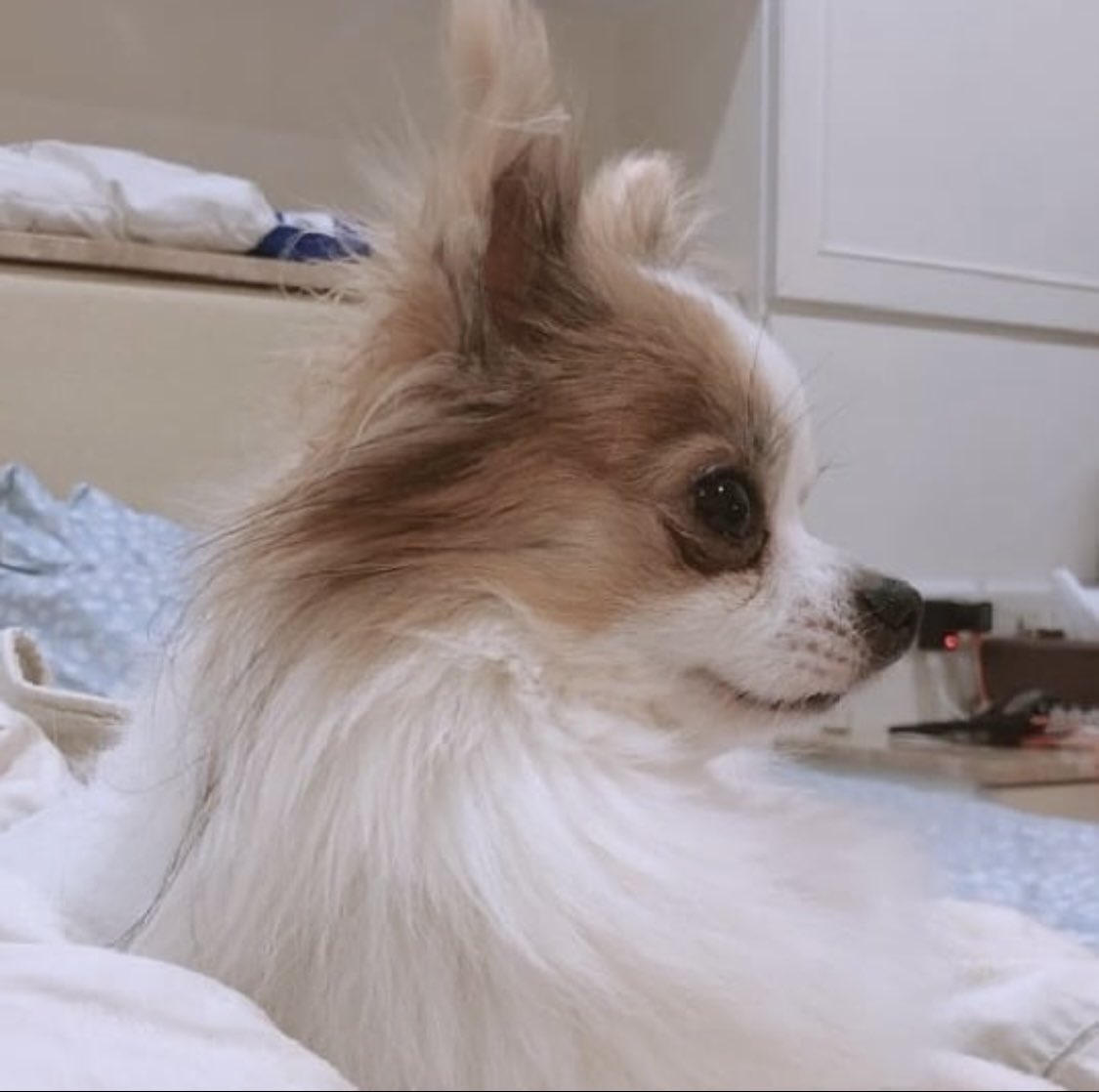 190410 TWICETAGRAM
#트와이스 #TWICE #쯔위 #TZUYU
