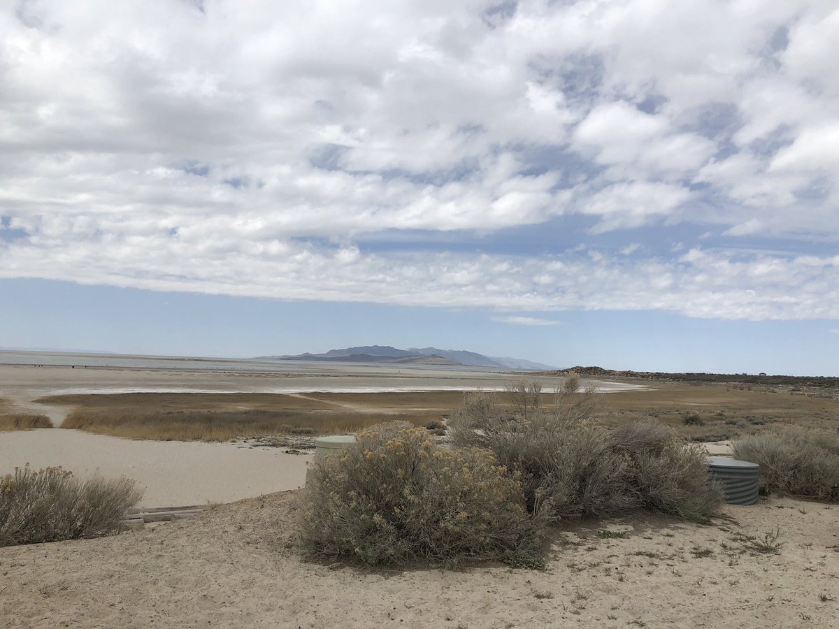XelaBay's tweet photo. What a refreshing day together 🤍
#antelopeisland https://t.co/opu19ZFoJ2