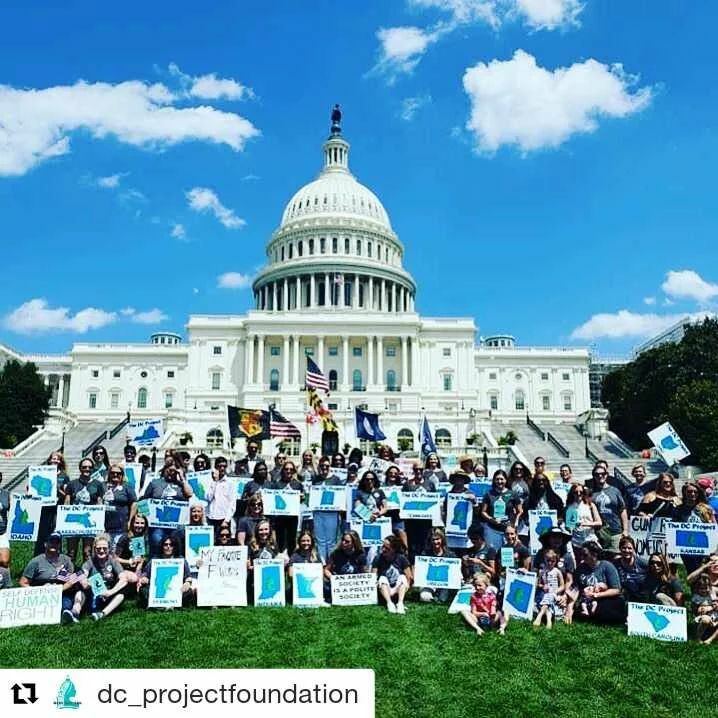 GunWebsites's tweet photo. #Flashback @dc_projectfoundation
・・・
Remember when the DC Project showed up at our nation’s beautiful Capitol?
Thanks to all the folks that came out to the rally to support the #DCProject !
Q - was this photo from the 2019 D.C. Rally? Or from anoth… https://t.co/EWebz2gEqn https://t.co/IwxhGX2z15