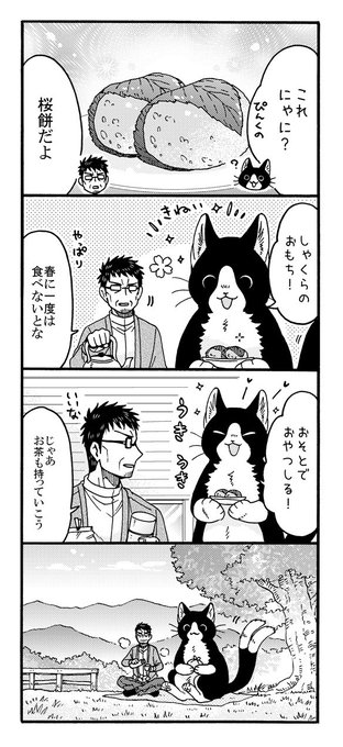 あさねこ様 あさぎりさん on X: 