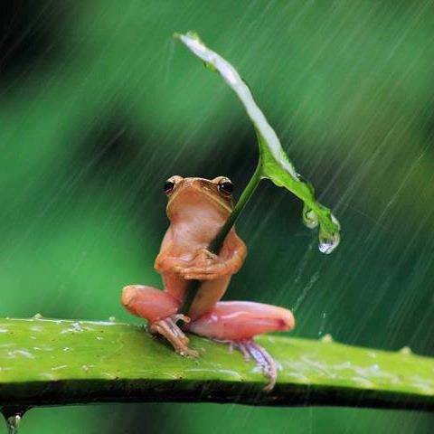 TheOnlyMarky's tweet image. My head is so strange that I&apos;m even dreaming text messages to myself. 
The latest one being &quot;enough is enough&quot;. Is someone trying to tell me something?
#spooky #messagefrombeyond