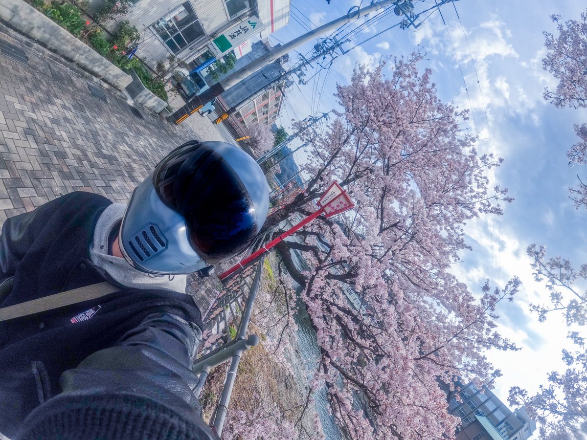 HONDA乗りのSUZUKI (@inaka_kurashiDA) / Posts / X